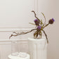 Clear Cylinder Vase Set of 8 By Accent Decor | Vases | Modishstore - 3