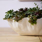 Coastline Trough By Accent Decor | Stands | Modishstore - 4