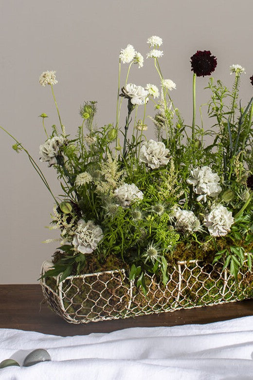 Coil Basket Set of 2 By Accent Decor | Bins, Baskets & Buckets | Modishstore - 1