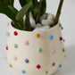 Color Dot Pot Set of 4 By Accent Decor | Planters, Troughs & Cachepots | Modishstore - 1
