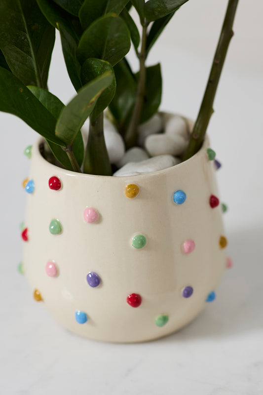 Color Dot Pot Set of 4 By Accent Decor | Planters, Troughs & Cachepots | Modishstore - 1