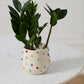 Color Dot Pot Set of 4 By Accent Decor | Planters, Troughs & Cachepots | Modishstore - 4