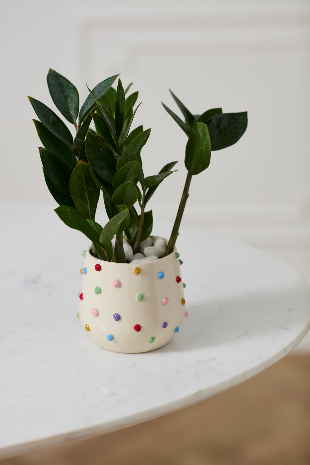 Color Dot Pot Set of 4 By Accent Decor | Planters, Troughs & Cachepots | Modishstore - 4