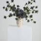 Color Dot Vase Set of 4 By Accent Decor | Vases | Modishstore - 4