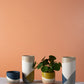 Colorway Collection Set of 8 By Accent Decor | Planters, Troughs & Cachepots | Modishstore - 3