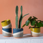 Colorway Collection Set of 8 By Accent Decor | Planters, Troughs & Cachepots | Modishstore - 4