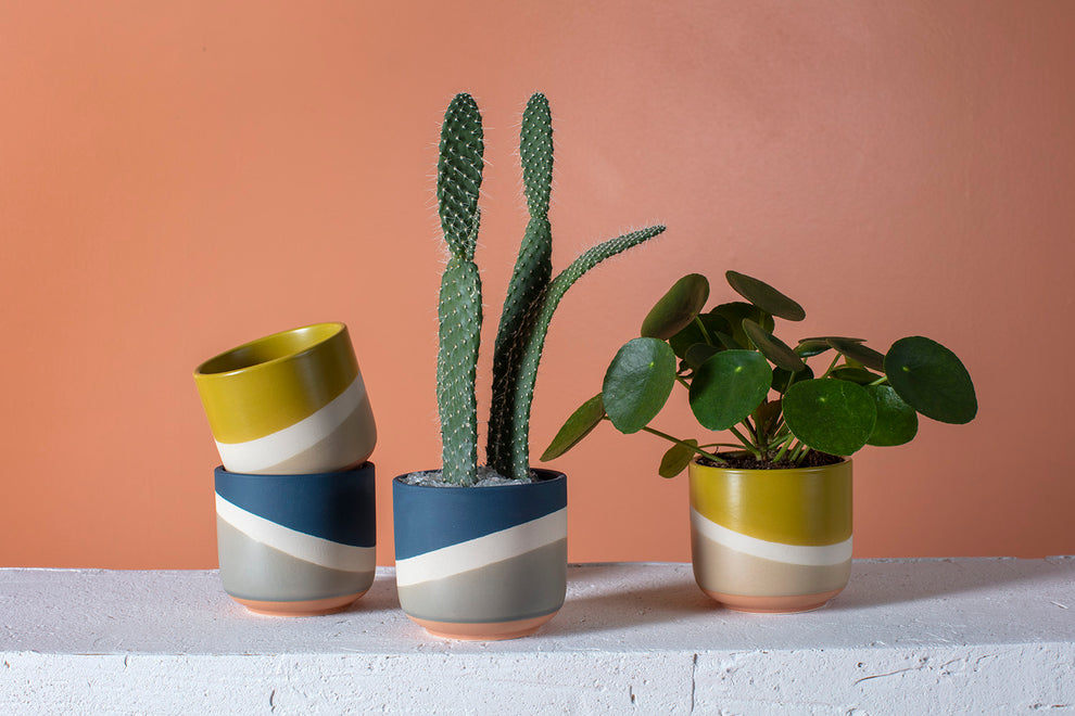 Colorway Collection Set of 8 By Accent Decor | Planters, Troughs & Cachepots | Modishstore - 4
