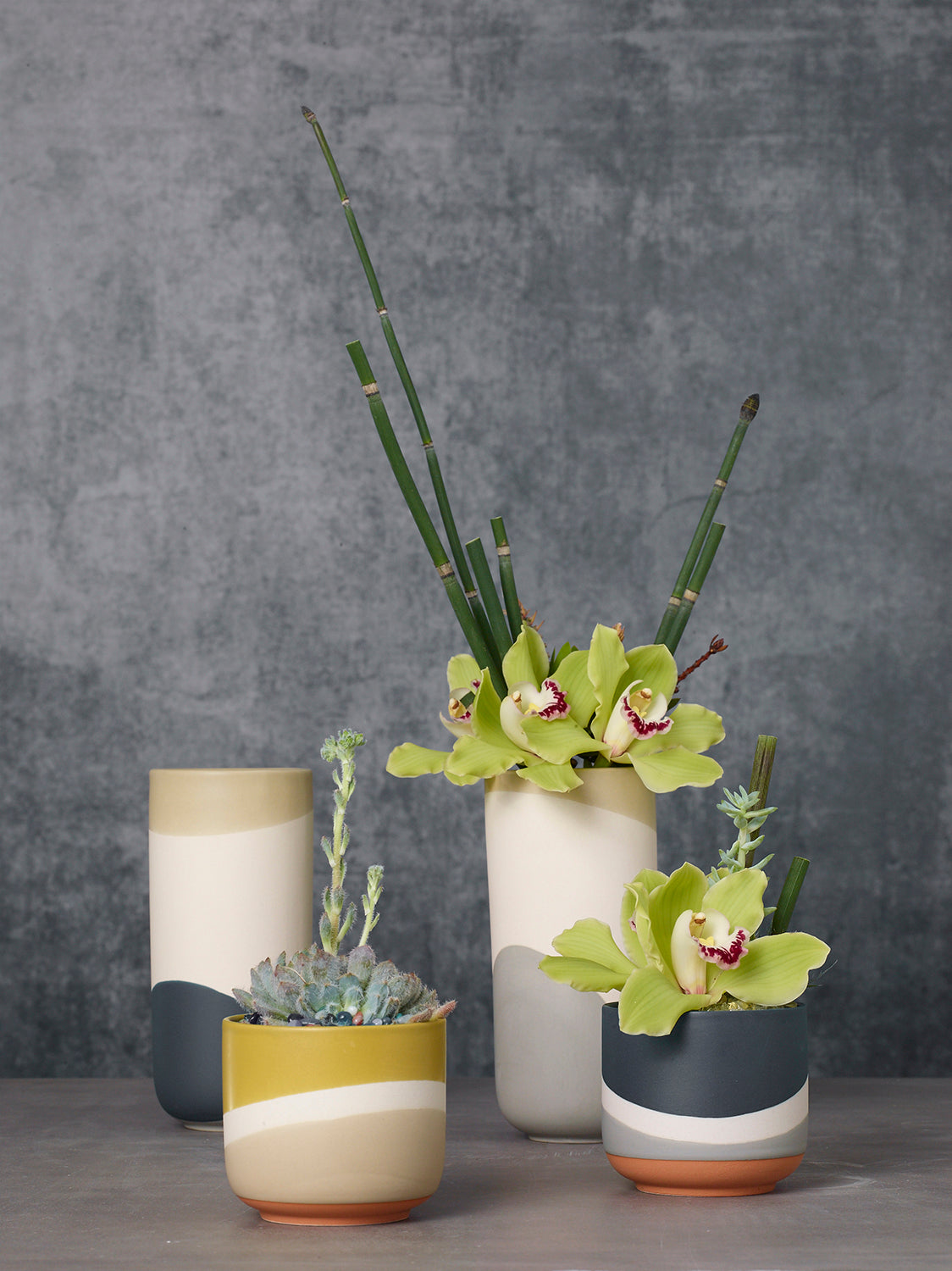 Colorway Collection Set of 8 By Accent Decor | Planters, Troughs & Cachepots | Modishstore - 5
