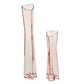 Corazon Budvase Set of 2 By Accent Decor | Vases | Modishstore - 5
