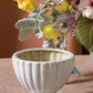 Coronation Compote Set of 4 By Accent Decor | Planters, Troughs & Cachepots | Modishstore - 4