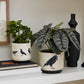 Corvus Pot Set of 4 By Accent Decor | Planters, Troughs & Cachepots | Modishstore - 3