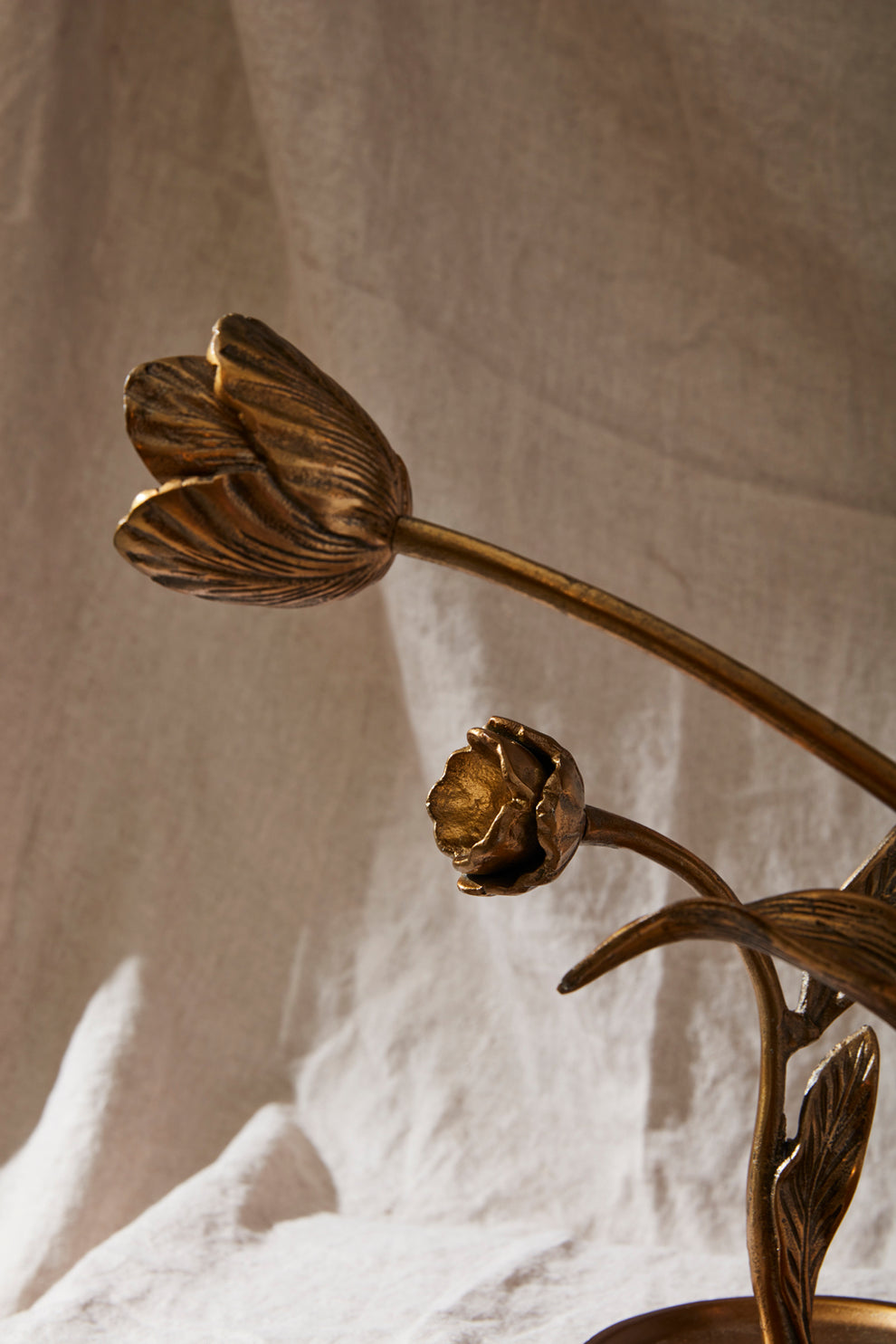 Craning Tulip Sculpture Set of 2 By Accent Decor | Sculptures | Modishstore - 5