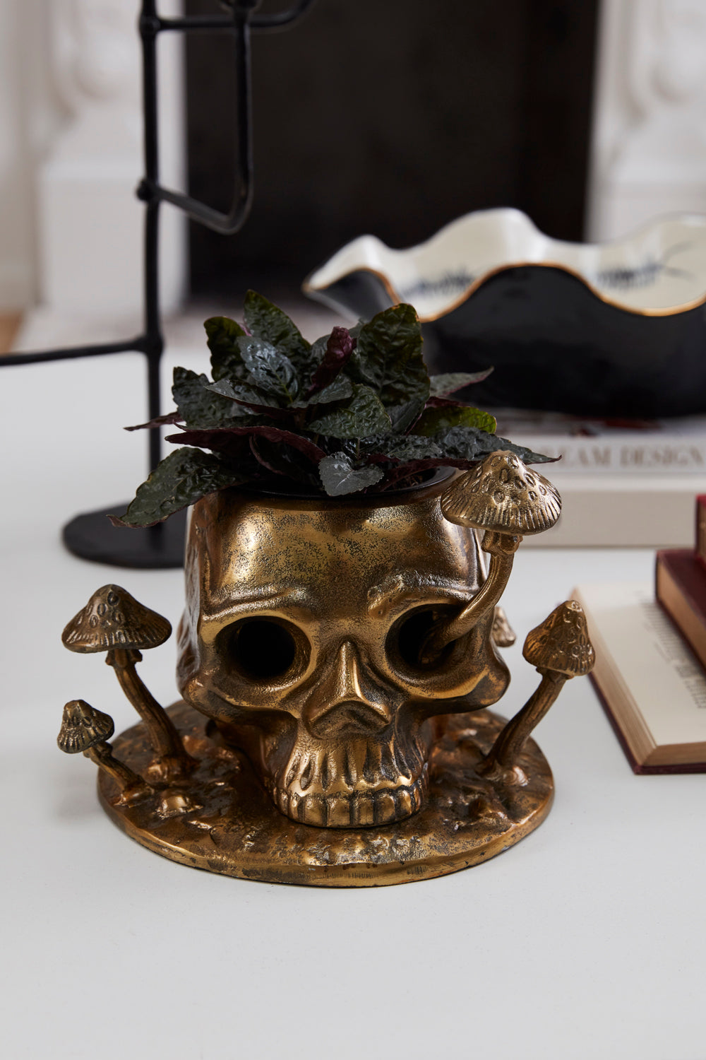 Cranium Pot By Accent Decor | Planters, Troughs & Cachepots | Modishstore - 3
