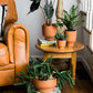 Crescendo Collection Set of 8 By Accent Decor | Planters, Troughs & Cachepots | Modishstore - 3