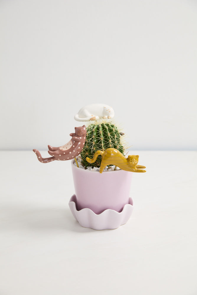 Curious Cats Plant Sticks - Set of 6 By Accent Decor | Planters, Troughs & Cachepots | Modishstore - 1