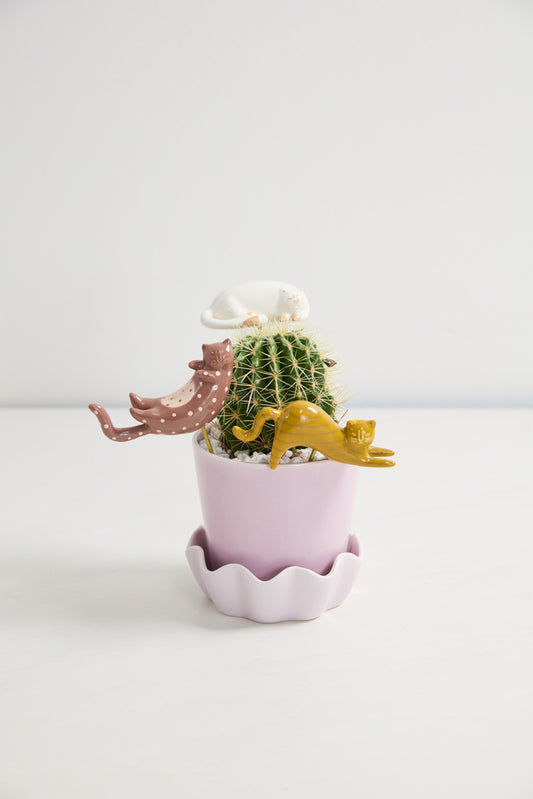 Curious Cats Plant Sticks - Set of 6 By Accent Decor | Planters, Troughs & Cachepots | Modishstore - 1