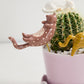Curious Cats Plant Sticks - Set of 6 By Accent Decor | Planters, Troughs & Cachepots | Modishstore - 3