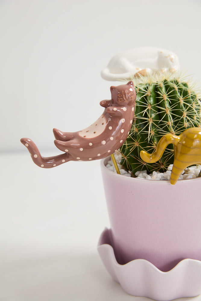 Curious Cats Plant Sticks - Set of 6 By Accent Decor | Planters, Troughs & Cachepots | Modishstore - 3
