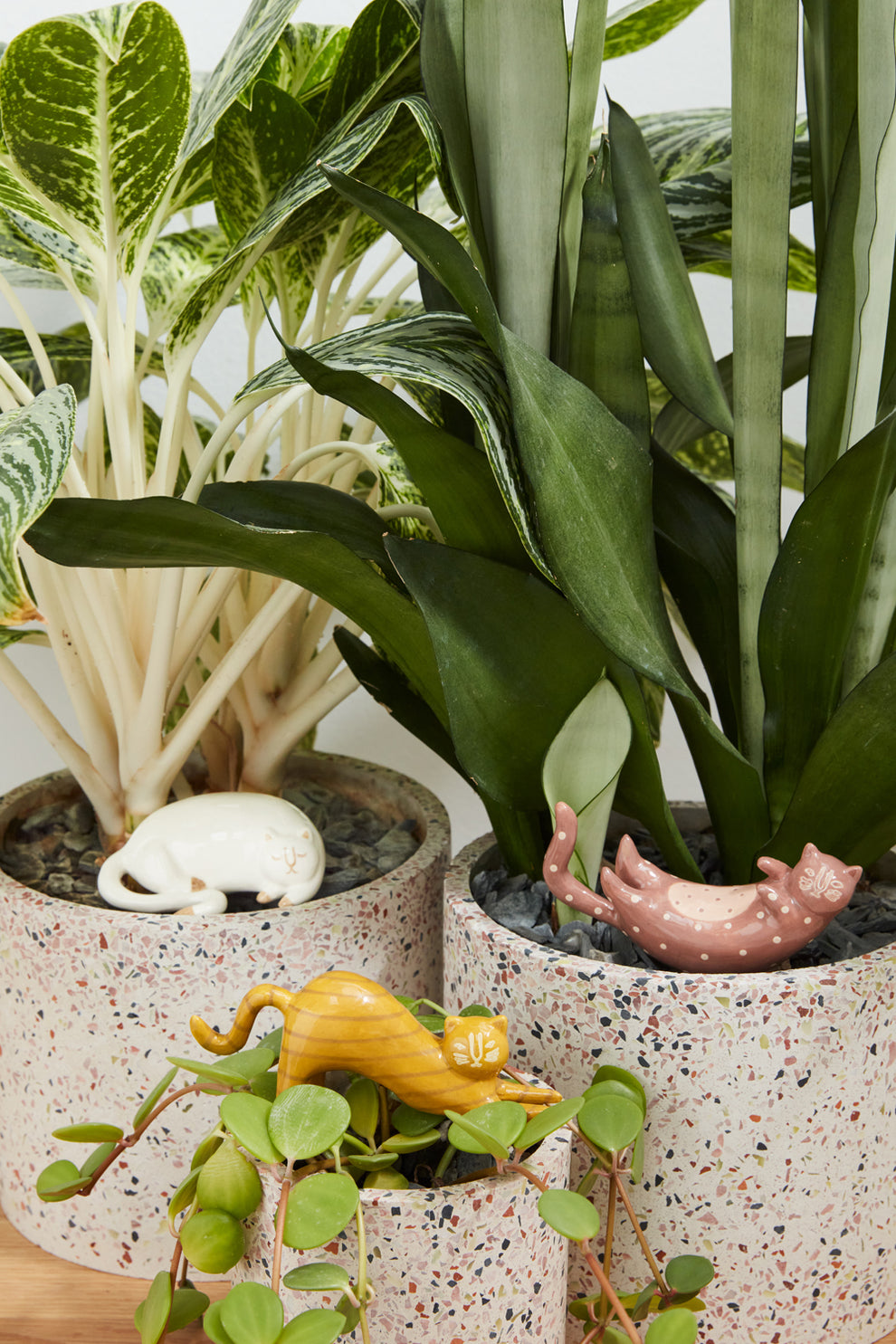 Curious Cats Plant Sticks - Set of 6 By Accent Decor | Planters, Troughs & Cachepots | Modishstore - 4