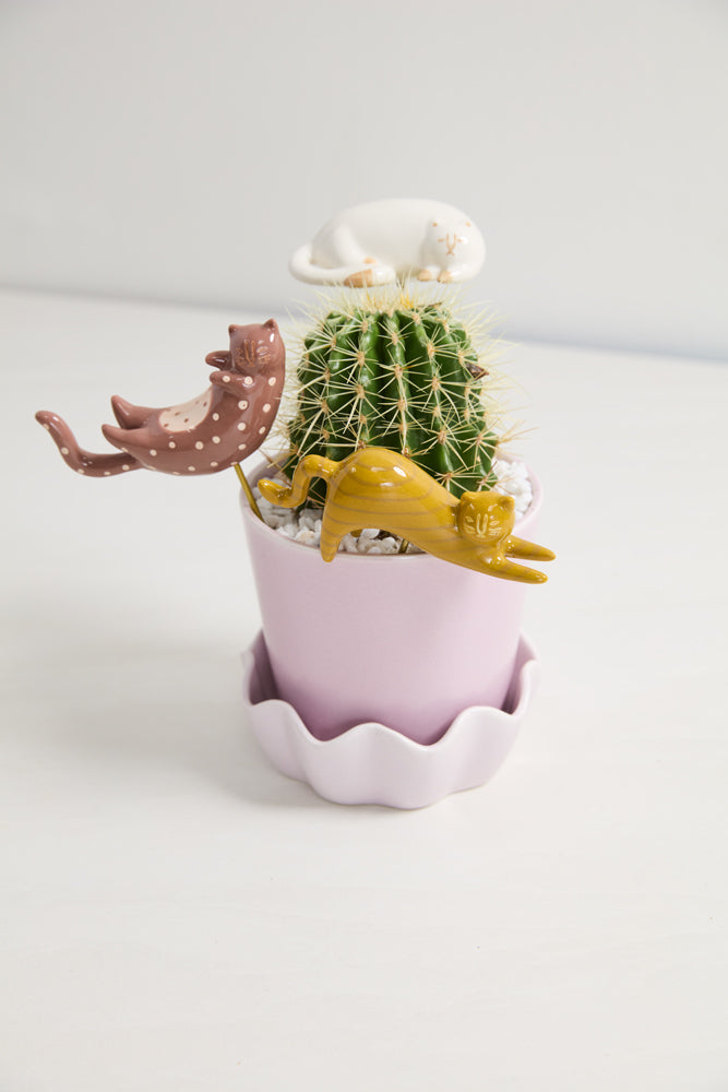 Curious Cats Plant Sticks - Set of 6 By Accent Decor | Planters, Troughs & Cachepots | Modishstore - 5