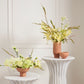 Cyrus Collection Set of 8 By Accent Decor | Planters, Troughs & Cachepots | Modishstore - 3