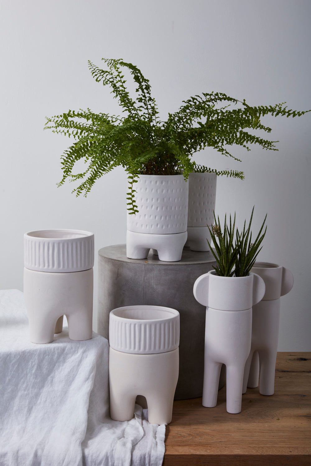 Dache Pot Set of 2 By Accent Decor | Planters, Troughs & Cachepots | Modishstore - 1