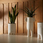 Dache Pot Set of 2 By Accent Decor | Planters, Troughs & Cachepots | Modishstore - 3