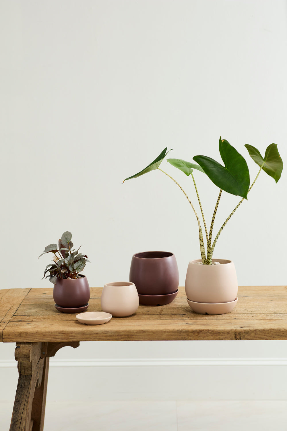 Dalton Pot Set of 4 By Accent Decor | Planters, Troughs & Cachepots | Modishstore - 7