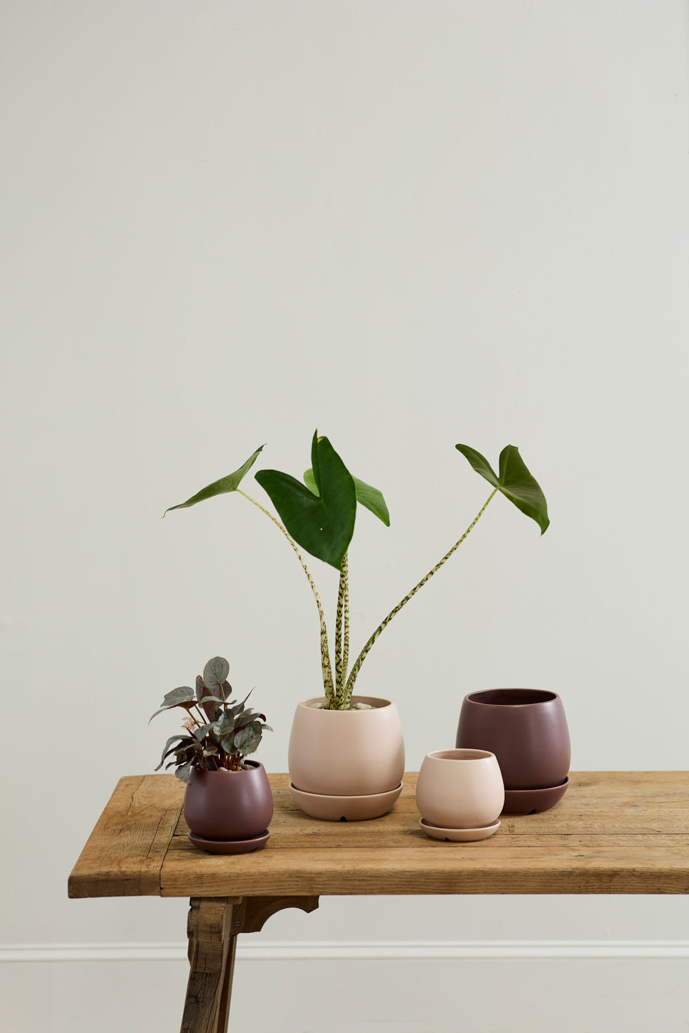 Dalton Pot Set of 4 By Accent Decor | Planters, Troughs & Cachepots | Modishstore - 6