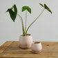 Dalton Pot Set of 4 By Accent Decor | Planters, Troughs & Cachepots | Modishstore - 5