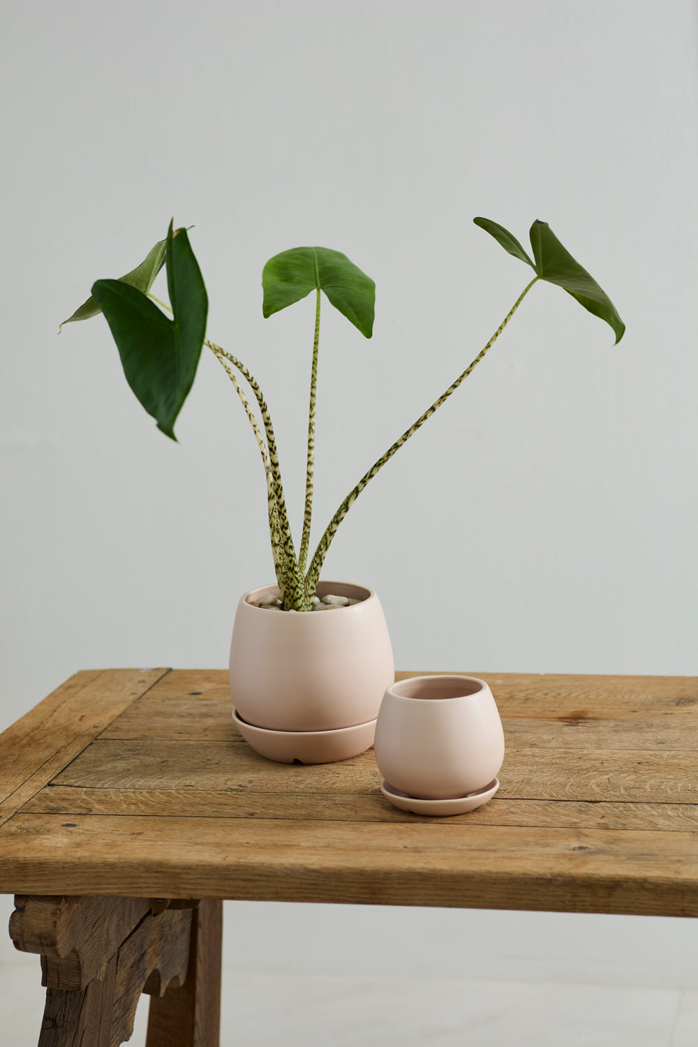 Dalton Pot Set of 4 By Accent Decor | Planters, Troughs & Cachepots | Modishstore - 5