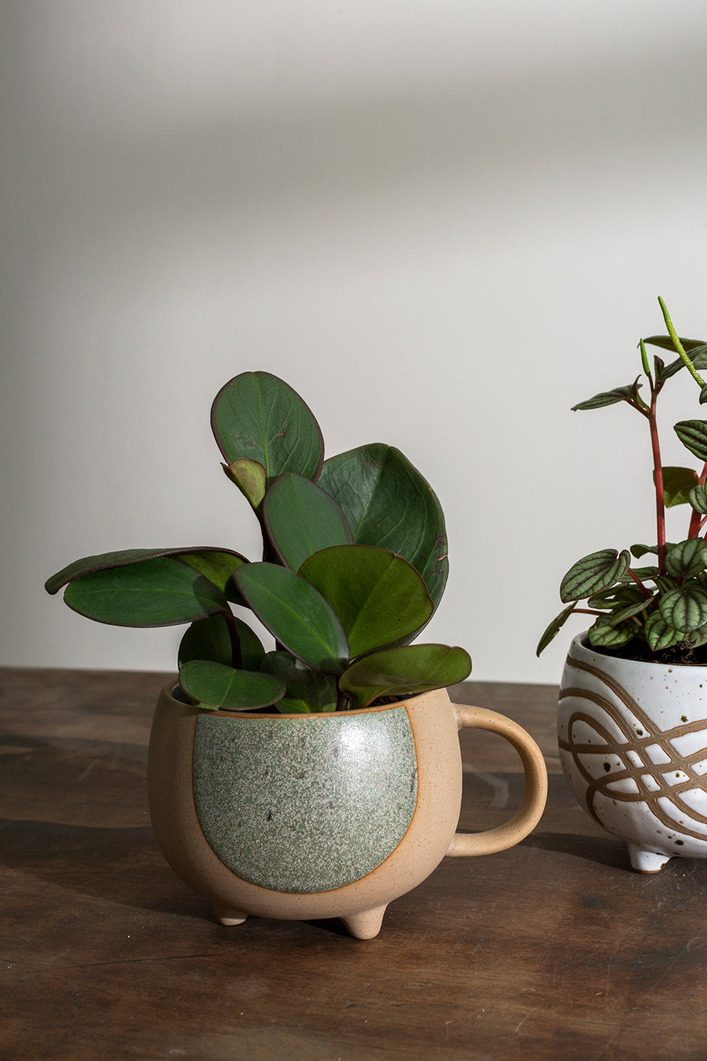 Daylight Mug Set of 4 By Accent Decor | Planters, Troughs & Cachepots | Modishstore - 3