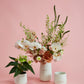 Dear Mom Collection Set of 4 By Accent DŽcor