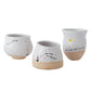 Declarations Collection Set of 8 By Accent Decor | Planters, Troughs & Cachepots | Modishstore - 4