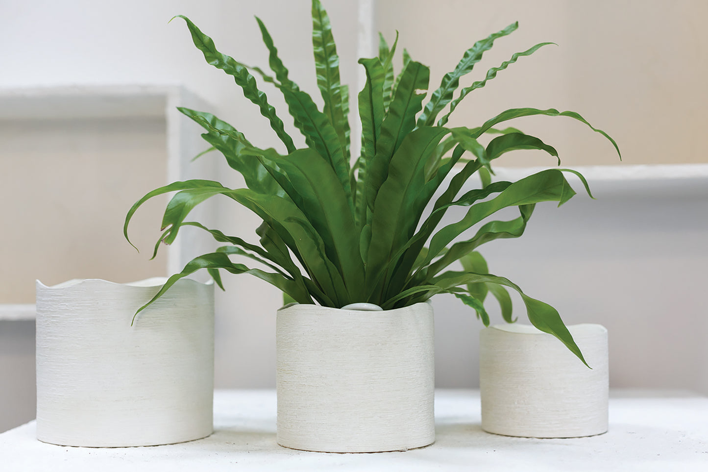 Delphi Pot Set of 8 By Accent Decor | Planters, Troughs & Cachepots | Modishstore - 4