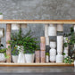 Delphi Pot Set of 8 By Accent Decor | Planters, Troughs & Cachepots | Modishstore - 7