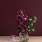 Denali Vase Set of 4 By Accent Decor | Vases | Modishstore - 3