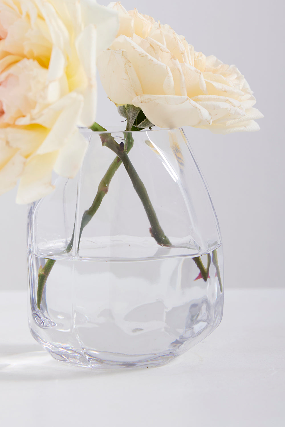 Denali Vase Set of 4 By Accent Decor | Vases | Modishstore - 4