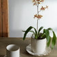 Dermot Pot Set of 4 By Accent Decor | Planters, Troughs & Cachepots | Modishstore - 1