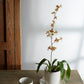 Dermot Pot Set of 4 By Accent Decor | Planters, Troughs & Cachepots | Modishstore - 3