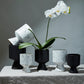De Vil Pot Set of 4 By Accent Decor | Planters, Troughs & Cachepots | Modishstore - 5