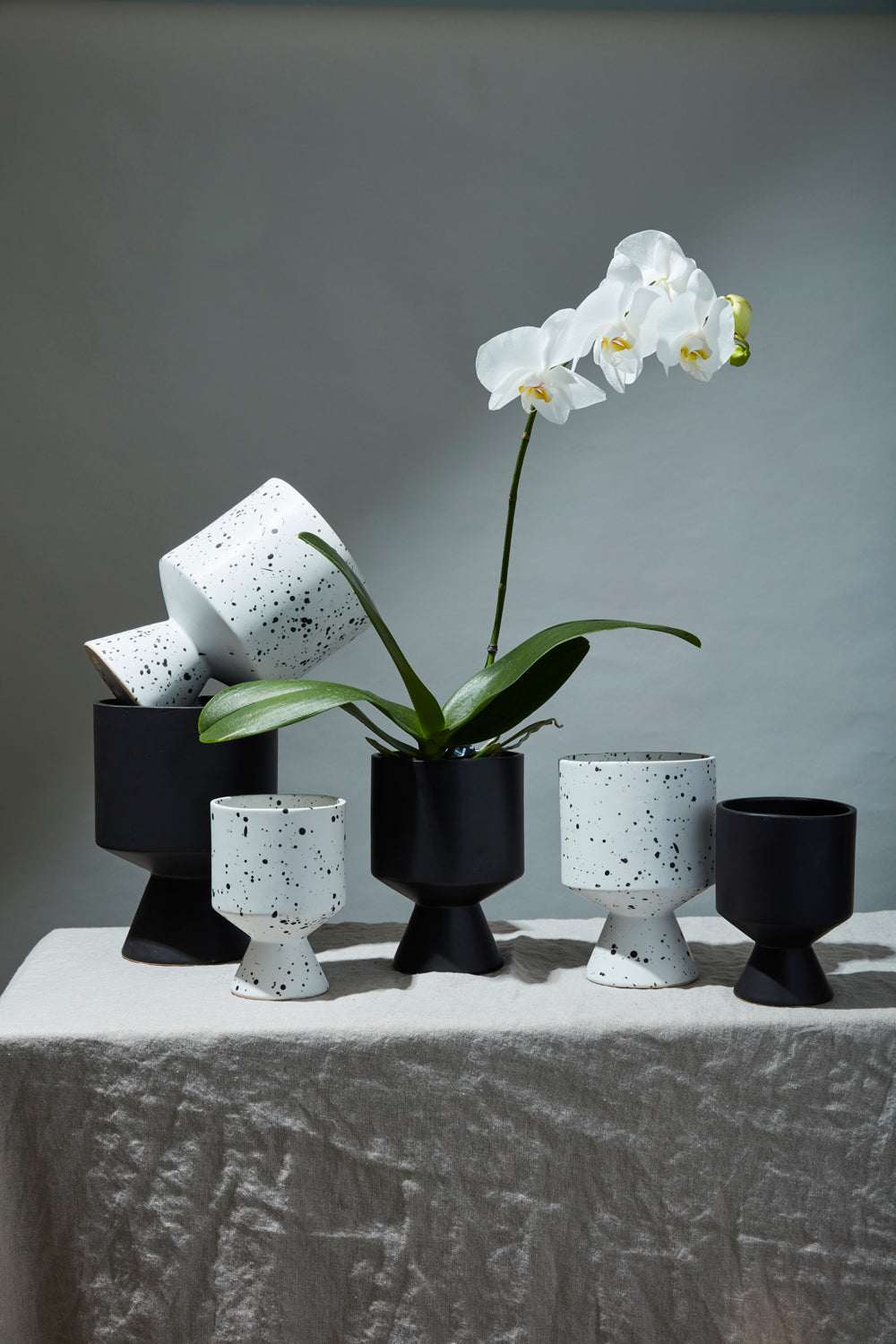 De Vil Pot Set of 4 By Accent Decor | Planters, Troughs & Cachepots | Modishstore - 5