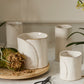 Diane Collection Set of 4 By Accent Decor | Stands | Modishstore - 1