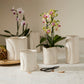 Diane Collection Set of 4 By Accent Decor | Stands | Modishstore - 3