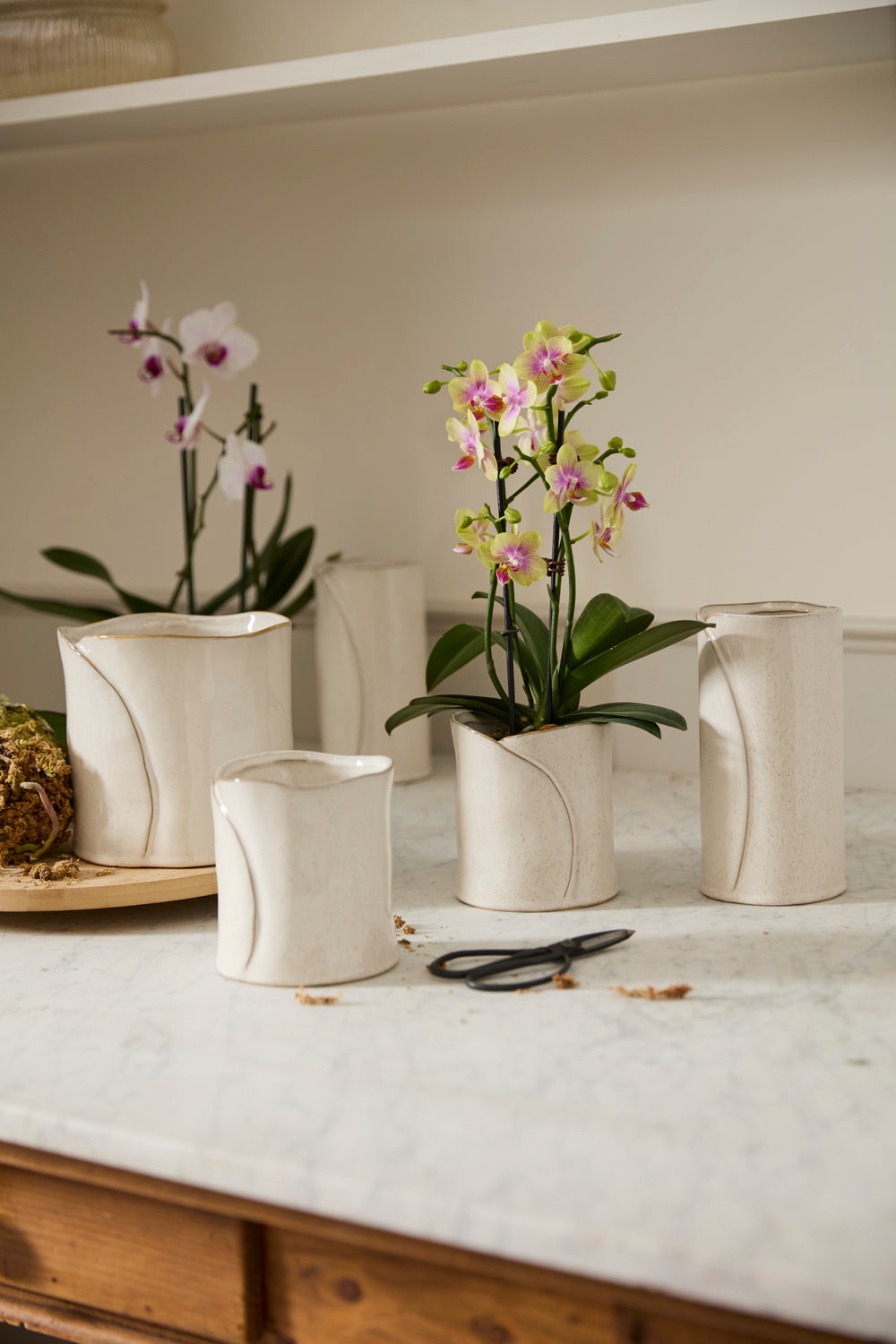 Diane Collection Set of 4 By Accent Decor | Stands | Modishstore - 3