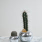 Disco Collection Set of 2 By Accent Decor | Stands | Modishstore - 4