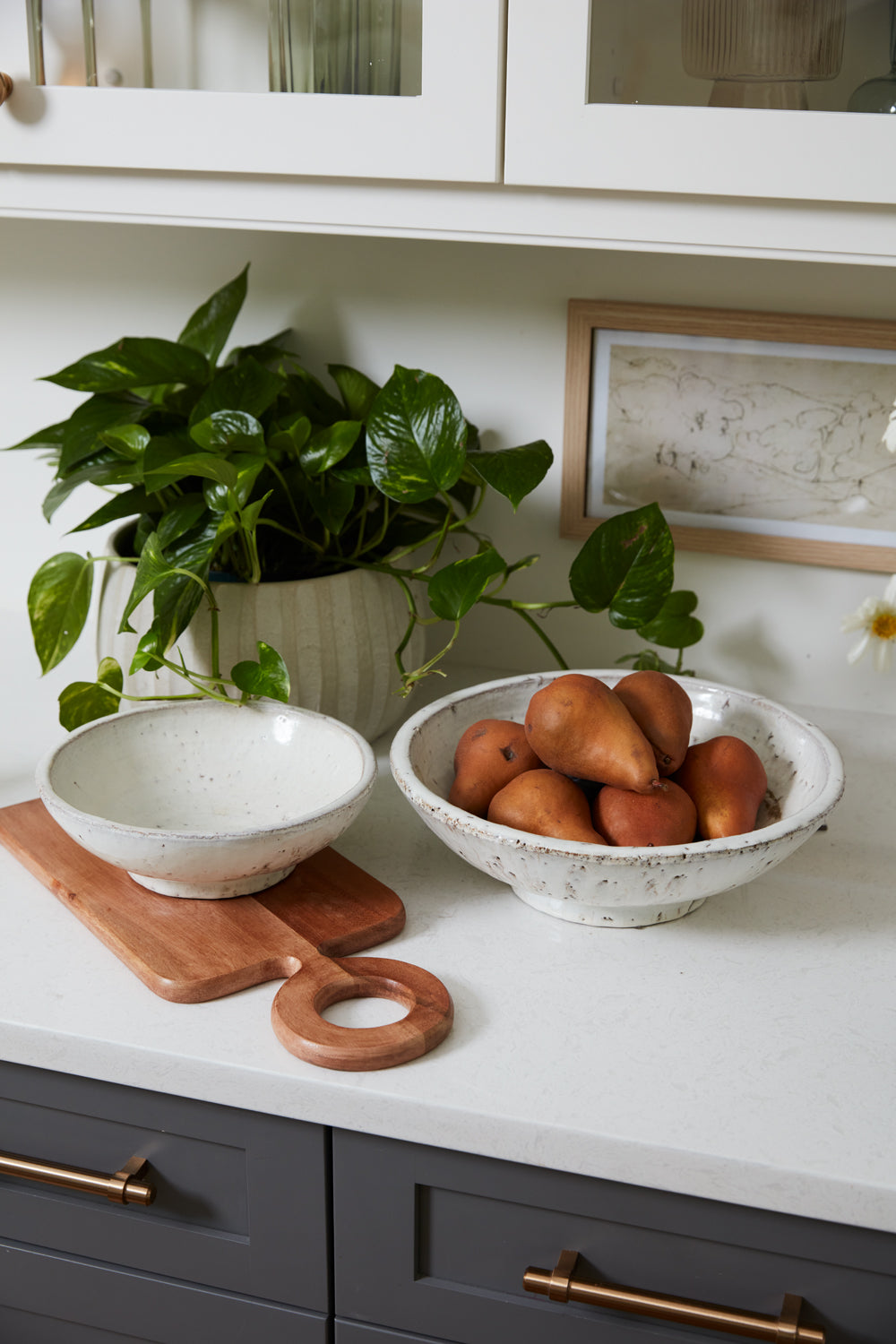 Divvy Bowl Set of 4 By Accent Decor | Decorative Bowls | Modishstore - 1