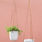 Doni Plant Hanger Set of 4 By Accent Decor | Planters, Troughs & Cachepots | Modishstore - 1