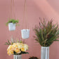 Doni Plant Hanger Set of 4 By Accent Decor | Planters, Troughs & Cachepots | Modishstore - 3