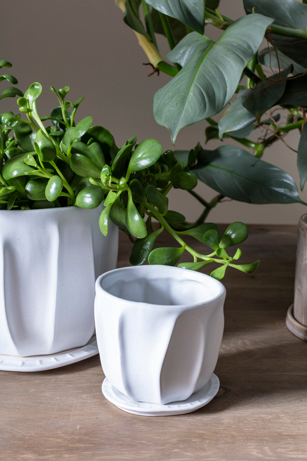 Draken Pot Set of 4 By Accent Decor | Planters, Troughs & Cachepots | Modishstore - 1